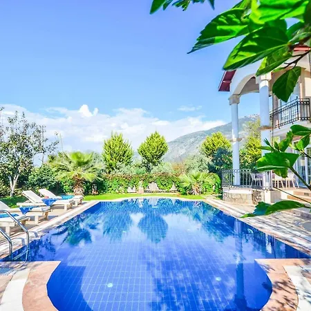 Pegasus Evi Otel